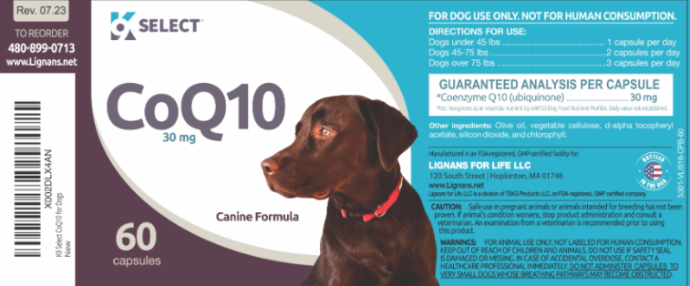 CoQ10 pour chiens